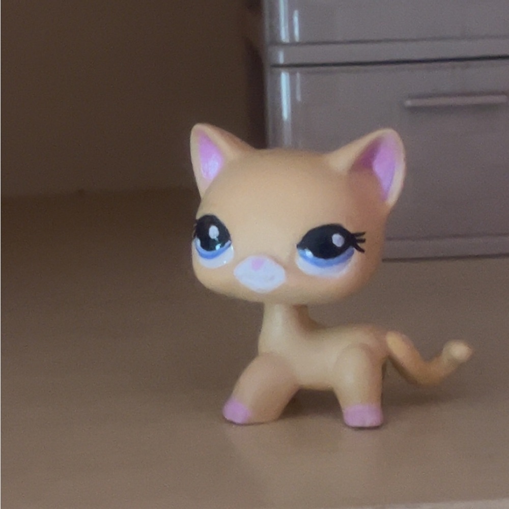 Custom lps shorthair painted by me